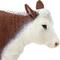 Show in main carousel: Safari Ltd. Hereford Cow slide 4 of 6