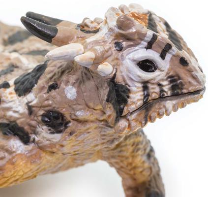 Show full view: Safari Ltd. Horned Lizard slide 4 of 6