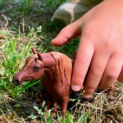 Safari Ltd. Arabian Mare slide 2 of 6