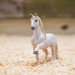 Safari Ltd. Andalusian Stallion slide 2 of 6