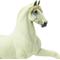 Show in main carousel: Safari Ltd. Andalusian Stallion slide 4 of 6