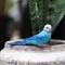 Show in main carousel: Safari Ltd. Blue Budgie Figurine slide 4 of 5