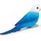 Show in main carousel: Safari Ltd. Blue Budgie Figurine slide 2 of 5