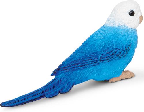 Show full view: Safari Ltd. Blue Budgie Figurine slide 2 of 5