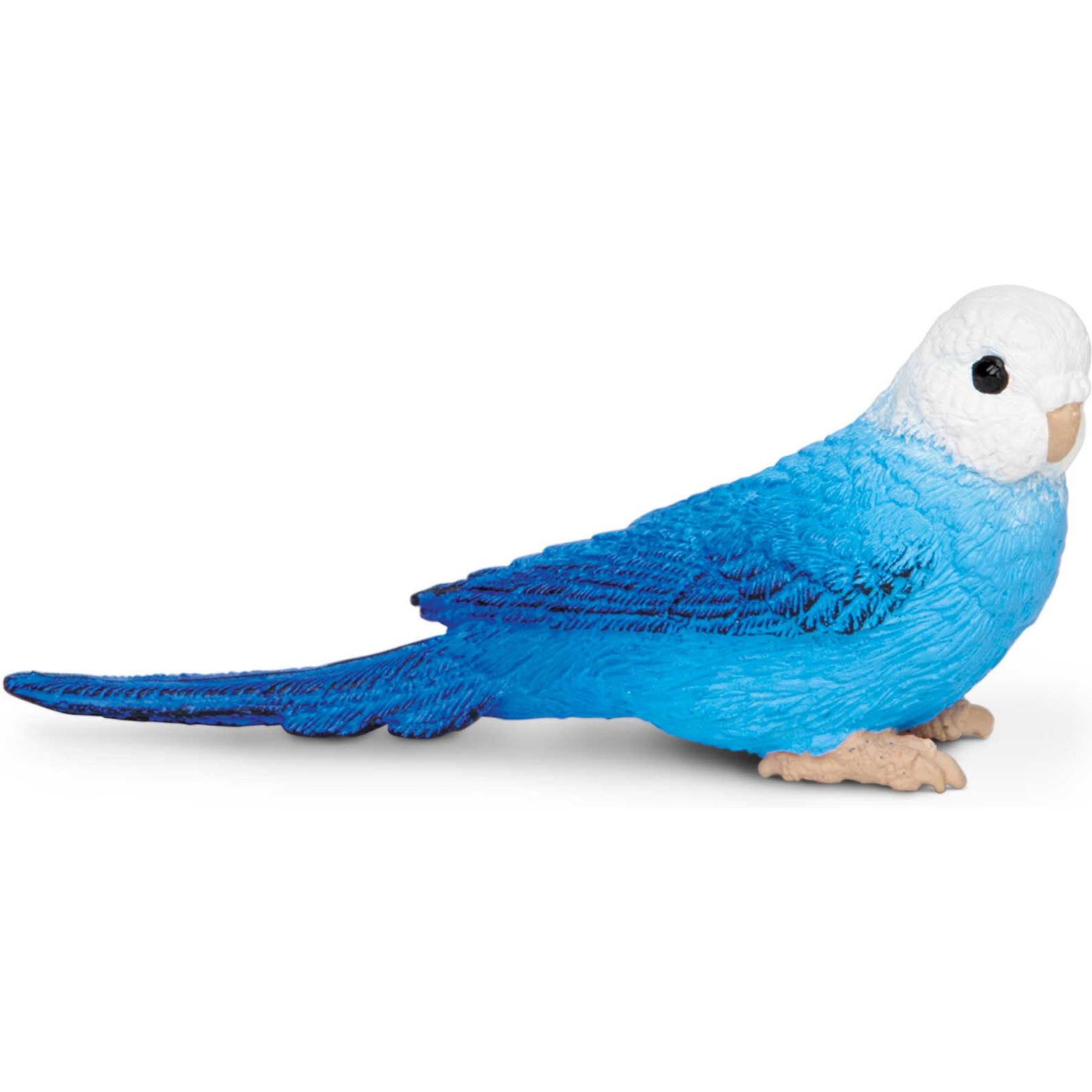 Safari Ltd. Blue Budgie Figurine