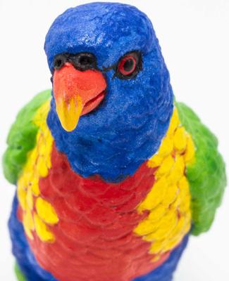 Show full view: Safari Ltd. Lorikeet slide 4 of 6