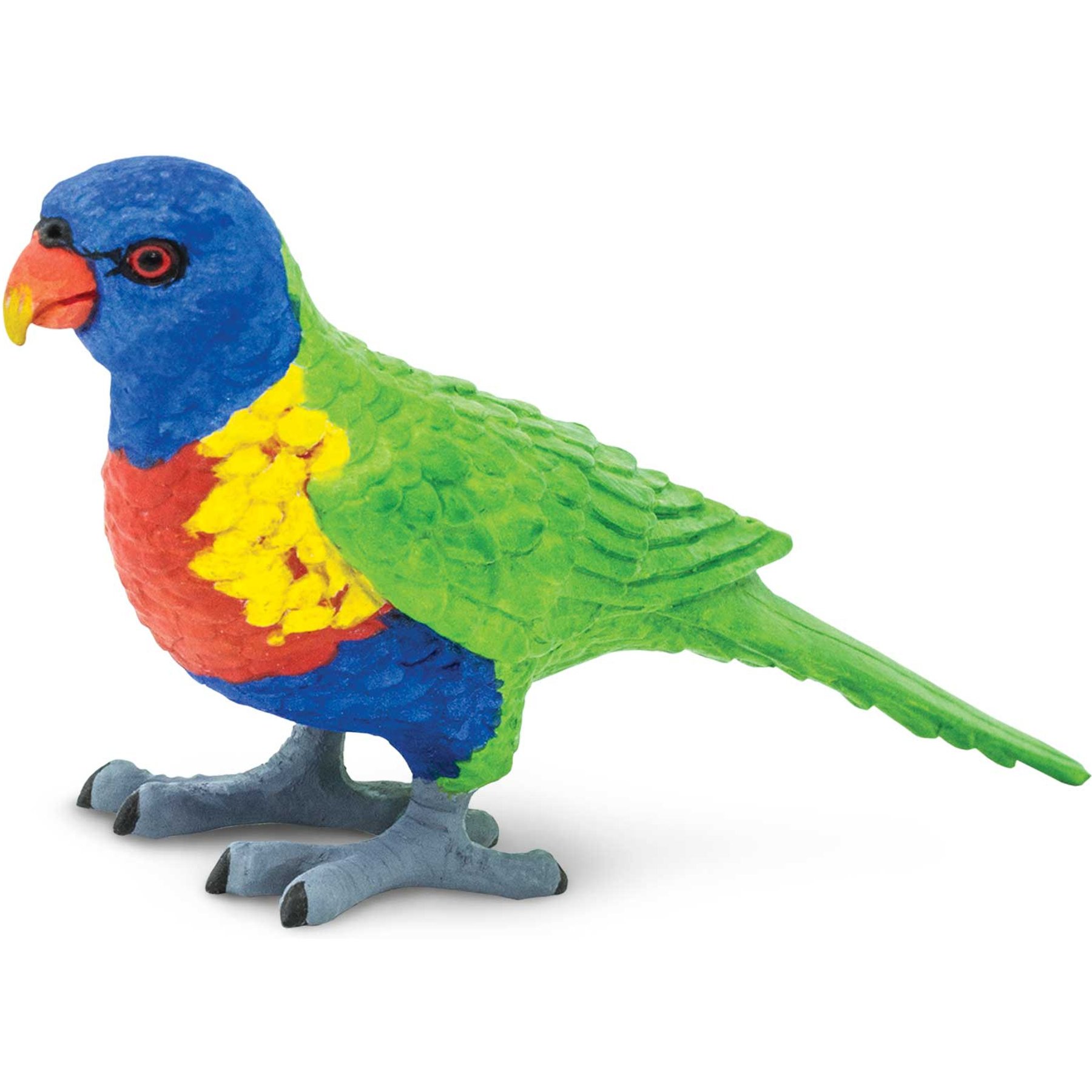 Safari Ltd. Lorikeet