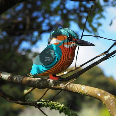 Show full view: Eugy Kingfisher 3D Puzzle slide 4 of 4