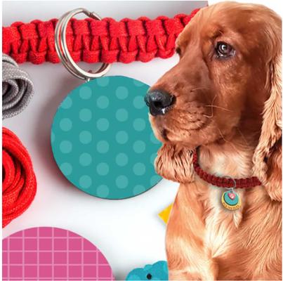 Show full view: Chalk & Chuckles Pawfect Gifts slide 3 of 4