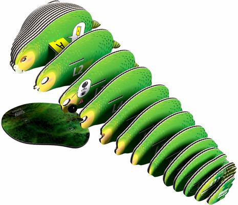 Show full view: Eugy Kakapo 3D Puzzle slide 3 of 4
