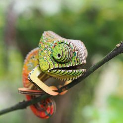 Eugy Chameleon 3D Puzzle slide 2 of 4