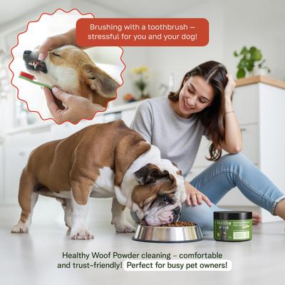 Show full view: Healthy Woof Oral Care Bone Broth Dental Powder Supplement for Dogs, 4.2-oz jar slide 3 of 7