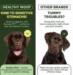 Healthy Woof Oral Care Bone Broth Dental Powder Supplement for Dogs, 8.5-oz jar slide 2 of 6