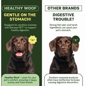 Healthy Woof Oral Care Bone Broth Dental Powder Supplement for Dogs, 4.2-oz jar