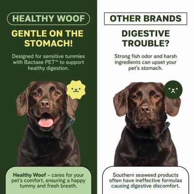 Show full view: Healthy Woof Oral Care Bone Broth Dental Powder Supplement for Dogs, 4.2-oz jar slide 5 of 7