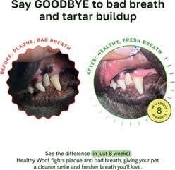 Healthy Woof Oral Care Bone Broth Dental Powder Supplement for Dogs, 4.2-oz jar slide 2 of 7