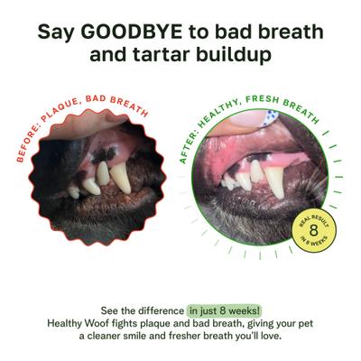 Show full view: Healthy Woof Oral Care Bone Broth Dental Powder Supplement for Dogs, 4.2-oz jar slide 4 of 7