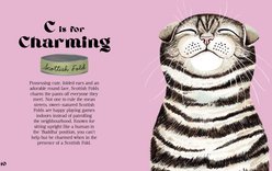 Well-Dressed Dogs slide 2 of 4