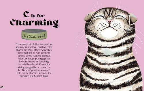 Show full view: Well-Dressed Dogs slide 2 of 4