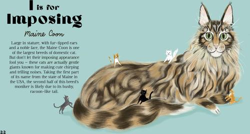 Show full view: Well-Dressed Dogs slide 3 of 4