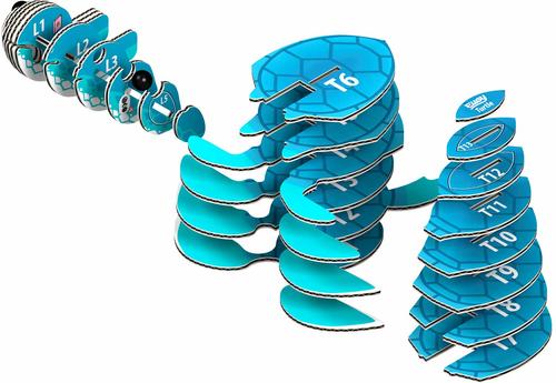 Show full view: Eugy Turtle 3D Puzzle slide 3 of 4