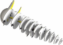 Eugy Cockatoo 3D Puzzle slide 2 of 4