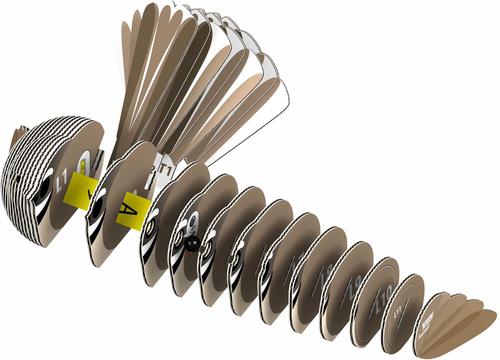 Show full view: Eugy Fantail 3D Puzzle slide 3 of 4