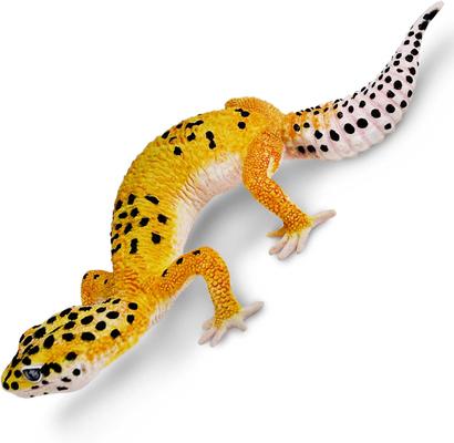 Show full view: Safari Ltd. Leopard Gecko Figurine slide 4 of 7