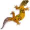 Show in main carousel: Safari Ltd. Leopard Gecko Figurine slide 3 of 7