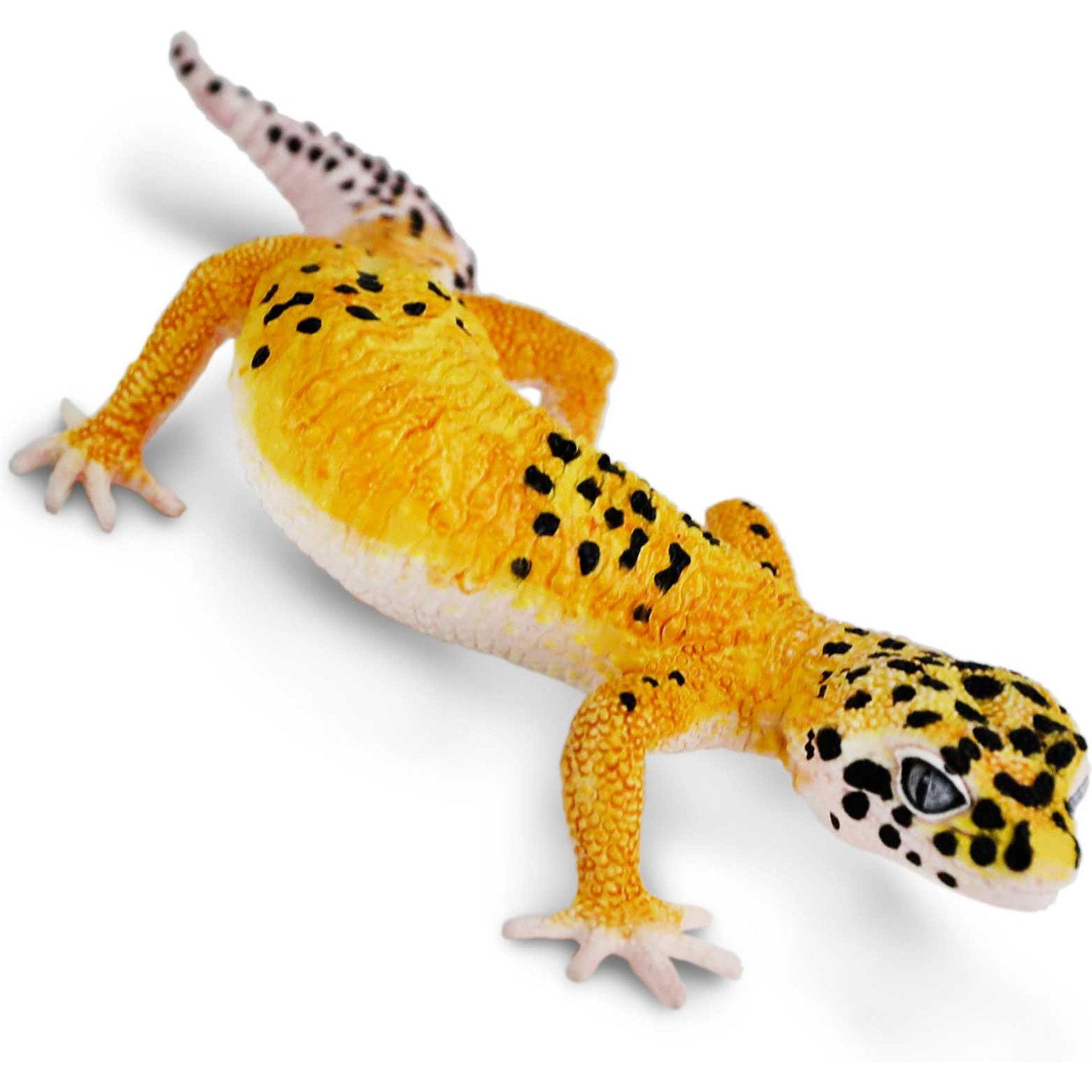 Safari Ltd. Leopard Gecko Figurine