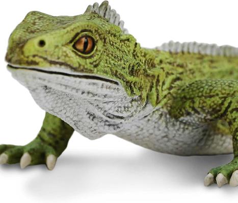 Show full view: Safari Ltd. Tuatara slide 4 of 7