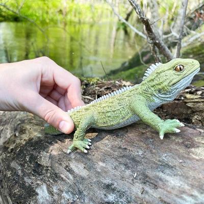 Show full view: Safari Ltd. Tuatara slide 6 of 7