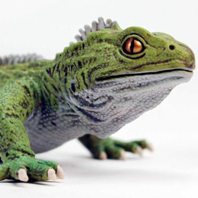 Show full view: Safari Ltd. Tuatara slide 2 of 7