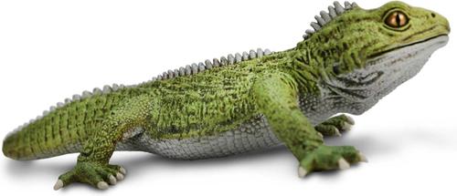 Show full view: Safari Ltd. Tuatara slide 3 of 7