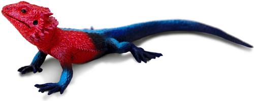 Show full view: Safari Ltd. Mwanza Flat-Headed Rock Agama Figurine slide 2 of 7