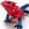 Show in main carousel: Safari Ltd. Mwanza Flat-Headed Rock Agama Figurine slide 5 of 7
