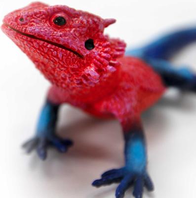 Show full view: Safari Ltd. Mwanza Flat-Headed Rock Agama Figurine slide 5 of 7