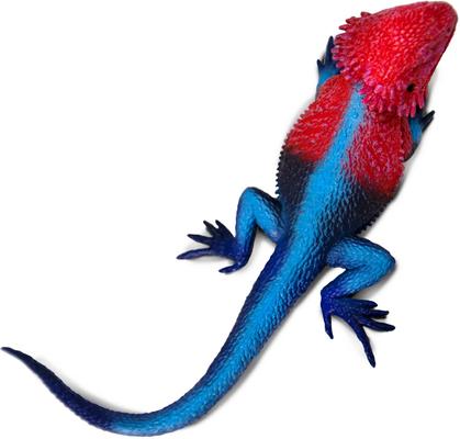 Show full view: Safari Ltd. Mwanza Flat-Headed Rock Agama Figurine slide 3 of 7