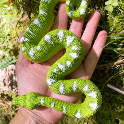 Show full view: Safari Ltd. Emerald Tree Boa Figurine slide 6 of 7