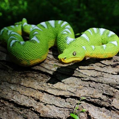 Show full view: Safari Ltd. Emerald Tree Boa Figurine slide 7 of 7
