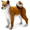 Show in main carousel: Safari Ltd. Shiba Inu slide 1 of 6