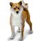 Show in main carousel: Safari Ltd. Shiba Inu slide 4 of 6