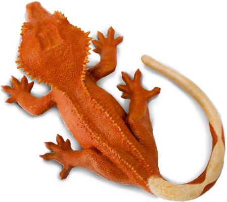 Show full view: Safari Ltd. Crested Gecko slide 4 of 7