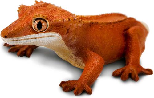 Show full view: Safari Ltd. Crested Gecko slide 2 of 7