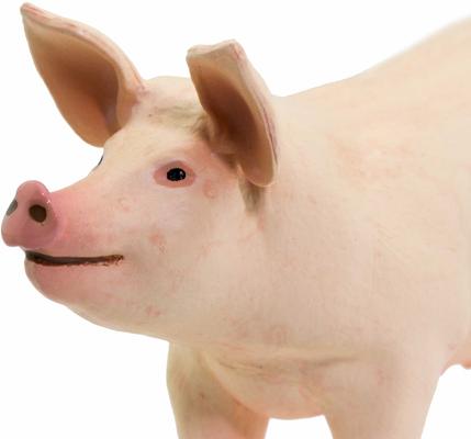 Show full view: Safari Ltd. Large White Pig slide 2 of 7