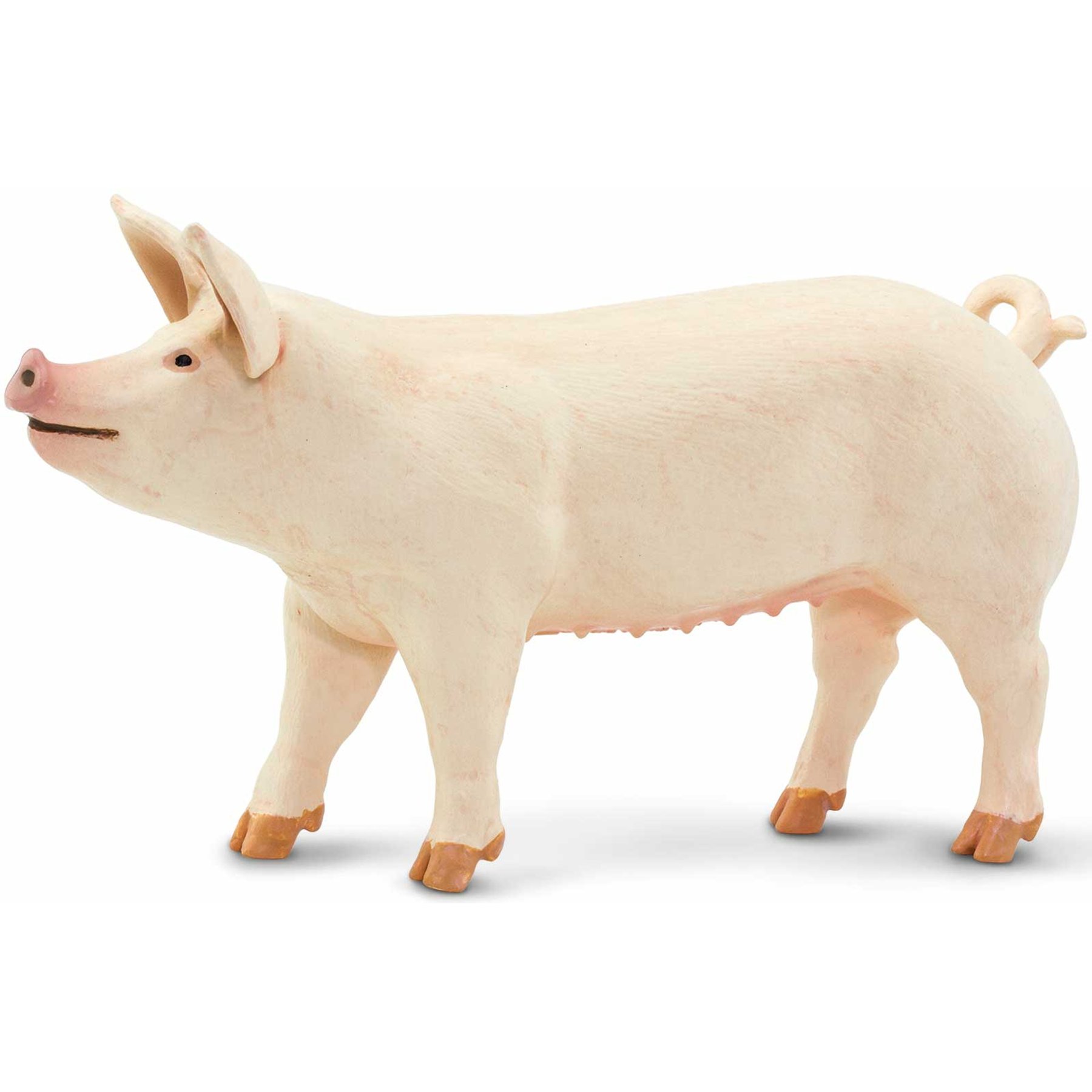 Safari Ltd. Large White Pig