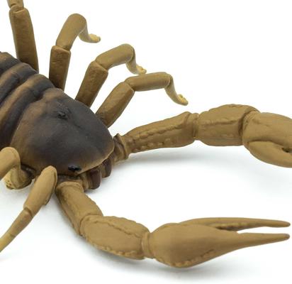 Show full view: Safari Ltd. Scorpion slide 4 of 7