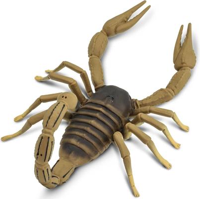 Show full view: Safari Ltd. Scorpion slide 2 of 7