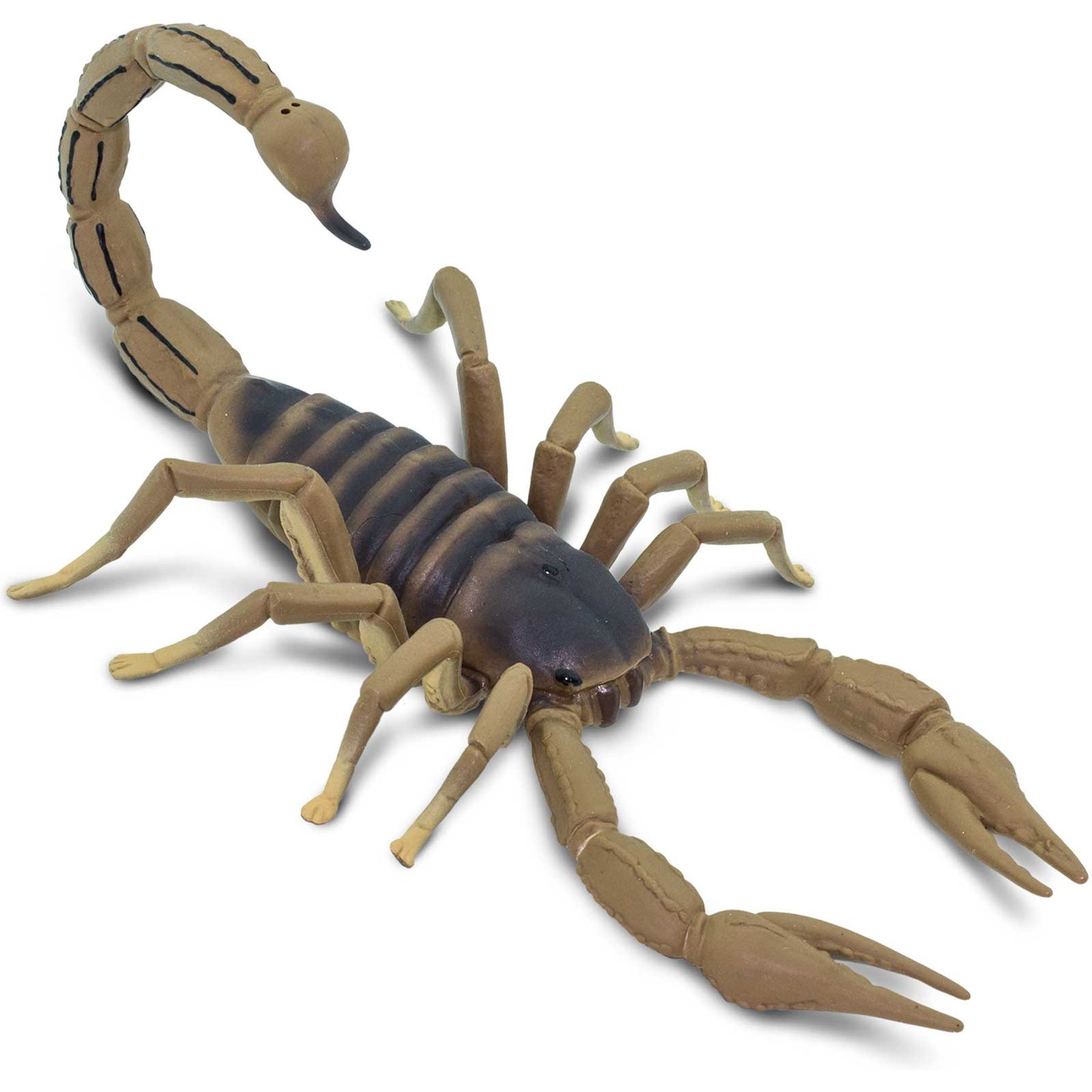 Safari Ltd. Scorpion