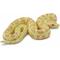 Show in main carousel: Safari Ltd. Albino Burmese Python Figurine slide 1 of 7